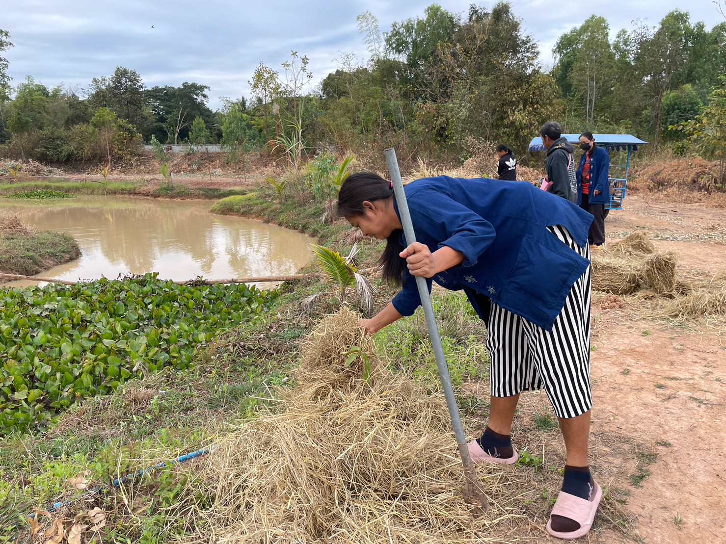 พช.มหาสารคาม ร่วมกับภาคีเครือข่ายโคกหนองนา พช.มหาสารคาม จัดกิจกรรมเอามื้อสามัคคี ณ แปลงโคกหนองนา อำเภอชื่นชม
