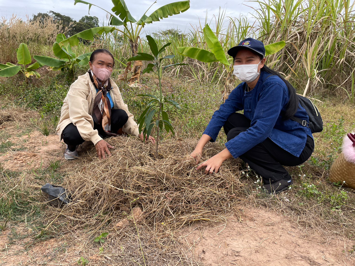 พช.มหาสารคาม ร่วมกับภาคีเครือข่ายโคกหนองนา พช.มหาสารคาม จัดกิจกรรมเอามื้อสามัคคี ณ แปลงโคกหนองนา อำเภอชื่นชม