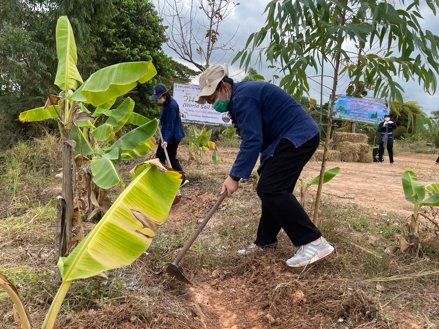 พช.มหาสารคาม ร่วมกับภาคีเครือข่ายโคกหนองนา พช.มหาสารคาม จัดกิจกรรมเอามื้อสามัคคี ณ แปลงโคกหนองนา อำเภอชื่นชม