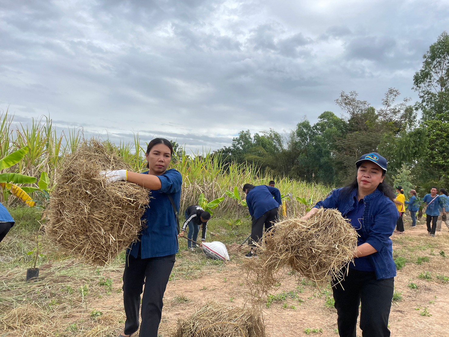 พช.มหาสารคาม ร่วมกับภาคีเครือข่ายโคกหนองนา พช.มหาสารคาม จัดกิจกรรมเอามื้อสามัคคี ณ แปลงโคกหนองนา อำเภอชื่นชม