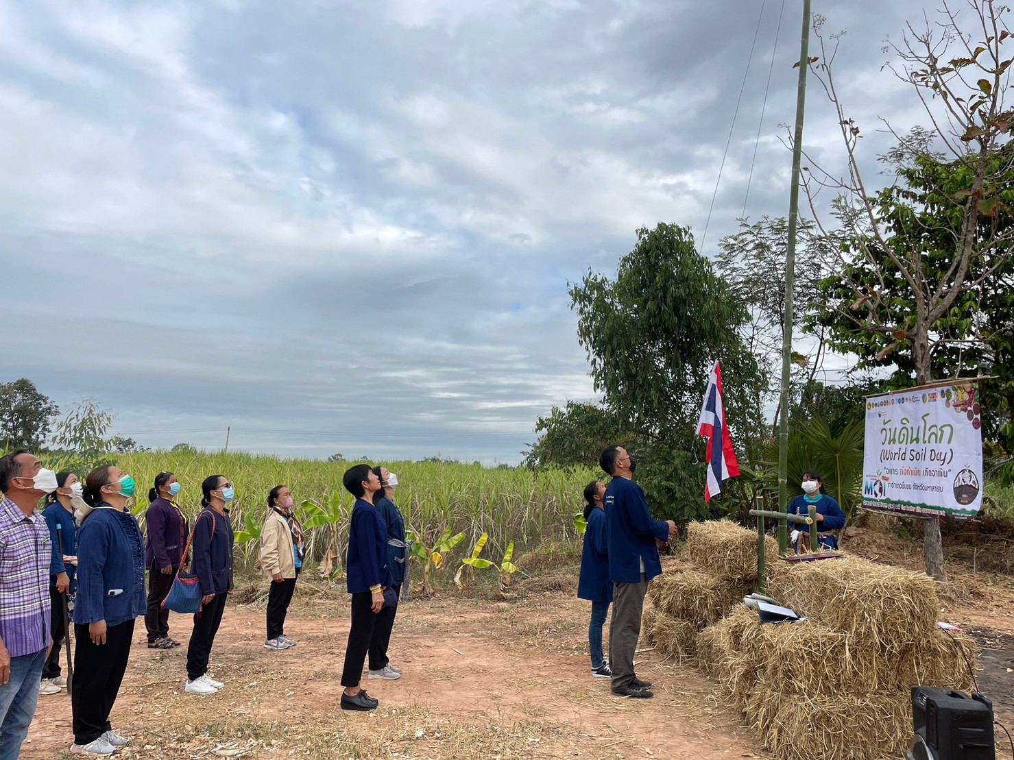 พช.มหาสารคาม ร่วมกับภาคีเครือข่ายโคกหนองนา พช.มหาสารคาม จัดกิจกรรมเอามื้อสามัคคี ณ แปลงโคกหนองนา อำเภอชื่นชม