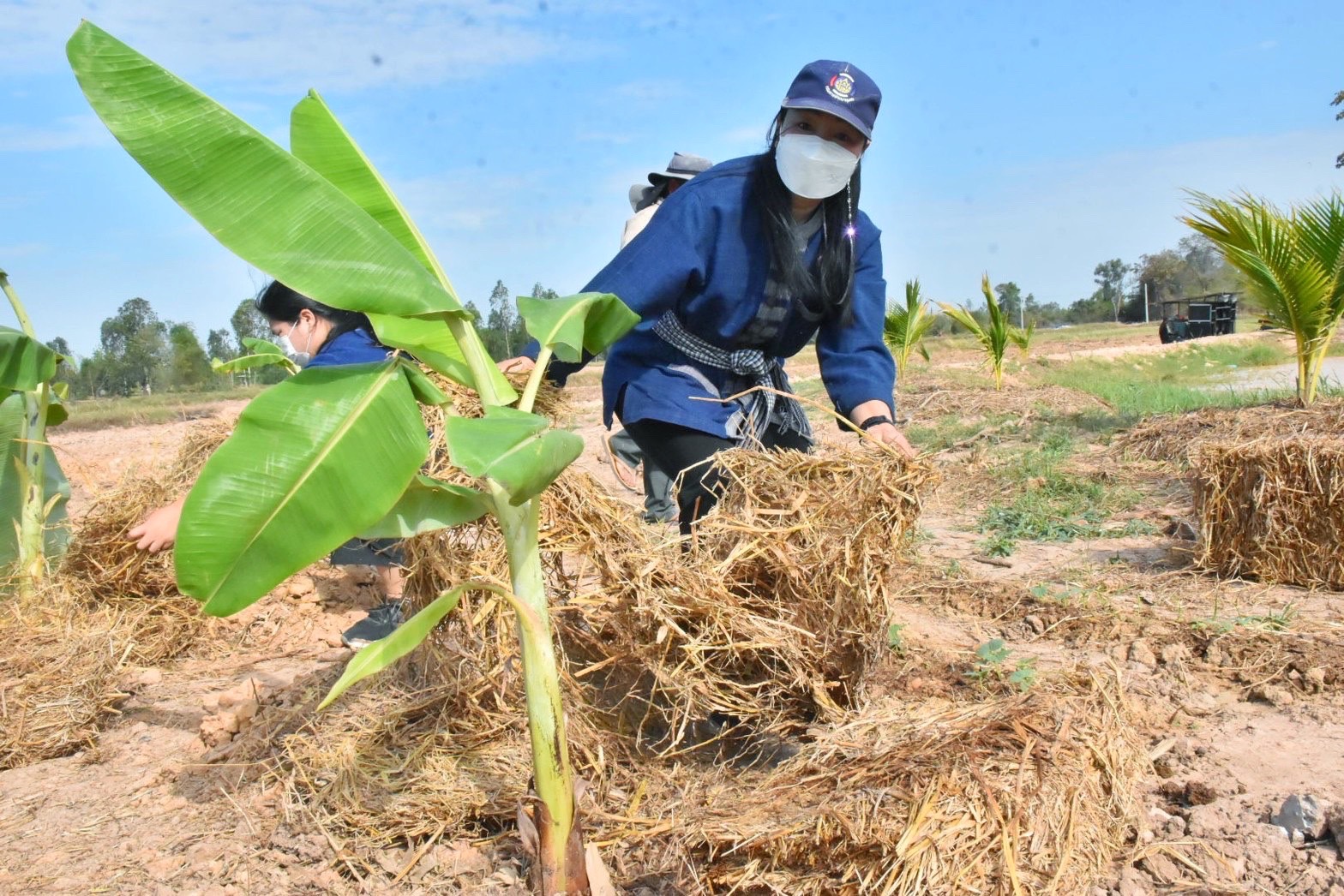 สพจ.มหาสารคาม ร่วมกับ สพอ.กันทรวิชัย และภาคีเครือข่ายโคกหนองนา จัดกิจกรรมเอามื้อสามัคคี โคก หนอง นา พช. ณ แปลงโคกหนองนา อำเภอกันทรวิชัย