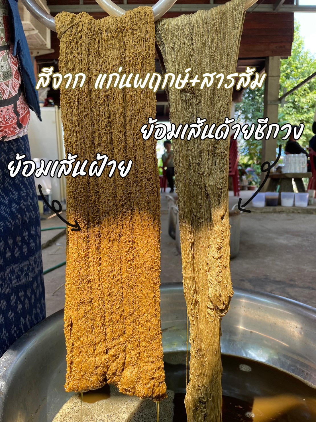 พช.มหาสารคาม ผสานเครือข่าย จัดกิจกรรมค้นหาองค์ความรู้เกี่ยวกับประโยชน์ของต้นไม้ประจำจังหวัดมหาสารคาม (ต้นพฤกษ์) สนองพระราชดำริในโครงการอนุรักษ์พันธุกรรมพืชอันเนื่องมาจากพระราชดำริ สมเด็จพระเทพรัตนราชสุดาฯ สยามบรมราชกุมารี (อพ.สธ.)