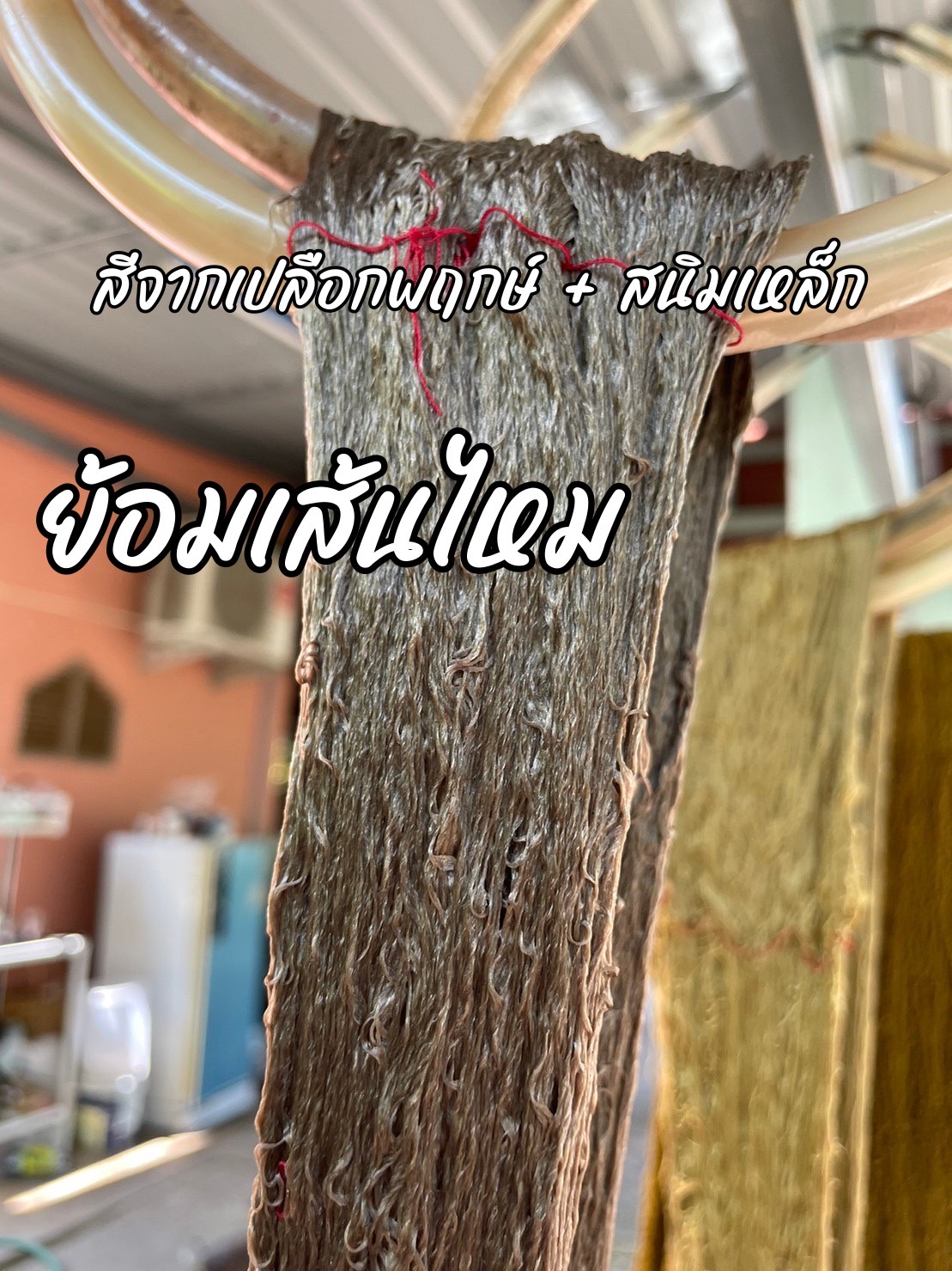 พช.มหาสารคาม ผสานเครือข่าย จัดกิจกรรมค้นหาองค์ความรู้เกี่ยวกับประโยชน์ของต้นไม้ประจำจังหวัดมหาสารคาม (ต้นพฤกษ์) สนองพระราชดำริในโครงการอนุรักษ์พันธุกรรมพืชอันเนื่องมาจากพระราชดำริ สมเด็จพระเทพรัตนราชสุดาฯ สยามบรมราชกุมารี (อพ.สธ.)