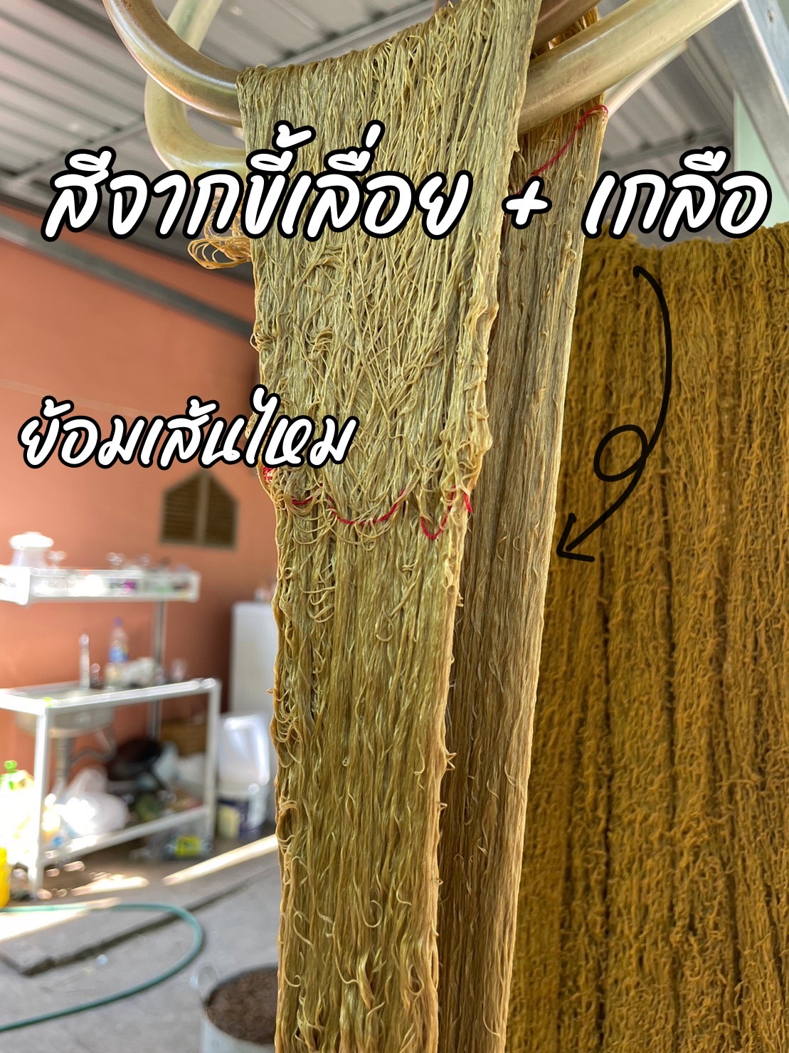 พช.มหาสารคาม ผสานเครือข่าย จัดกิจกรรมค้นหาองค์ความรู้เกี่ยวกับประโยชน์ของต้นไม้ประจำจังหวัดมหาสารคาม (ต้นพฤกษ์) สนองพระราชดำริในโครงการอนุรักษ์พันธุกรรมพืชอันเนื่องมาจากพระราชดำริ สมเด็จพระเทพรัตนราชสุดาฯ สยามบรมราชกุมารี (อพ.สธ.)