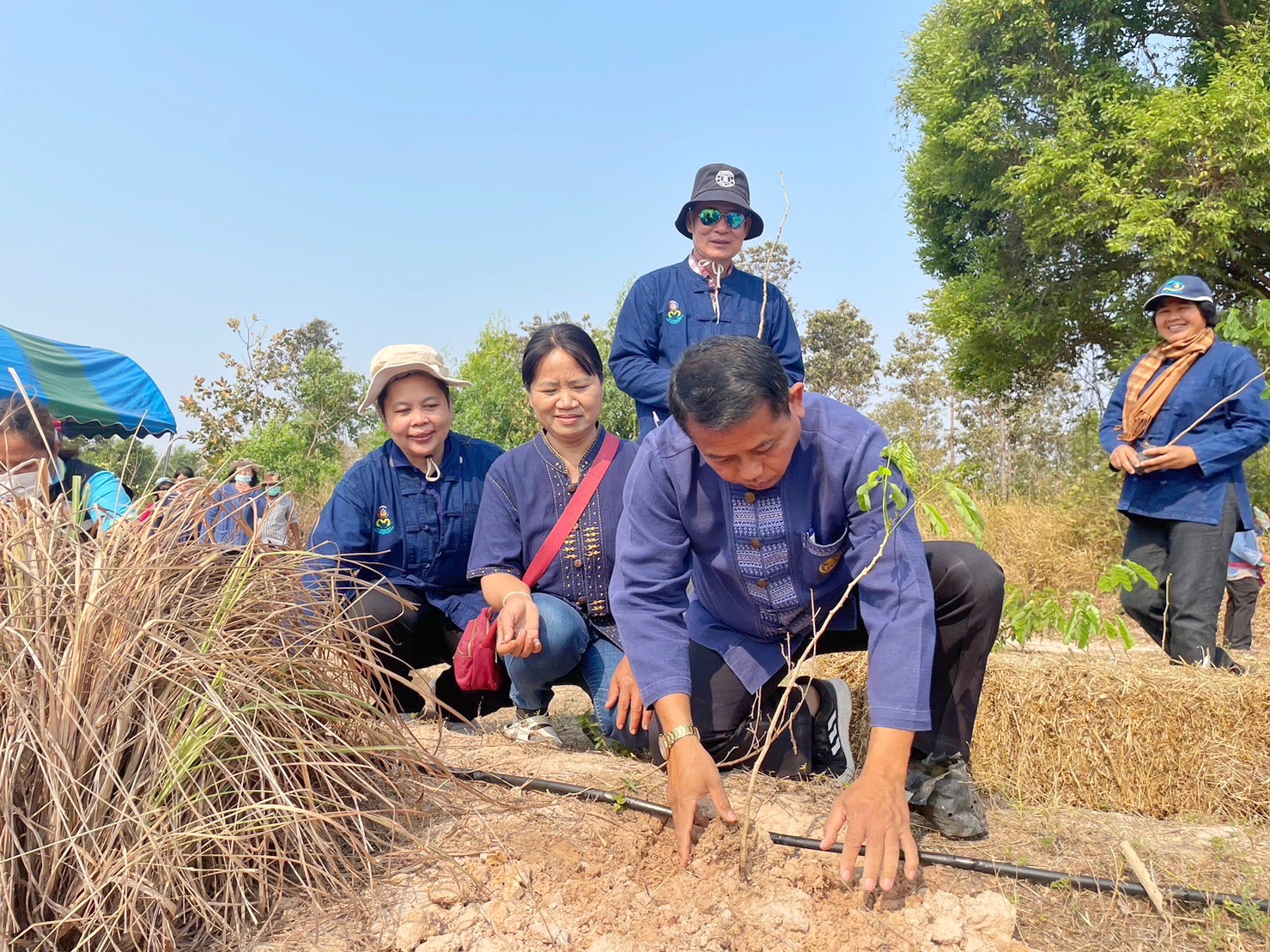 พช.มหาสารคาม ร่วมกับภาคีเครือข่ายโคกหนองนา จัดกิจกรรมเอามื้อสามัคคี ณ แปลงโคกหนองนา อำเภอแกดำ