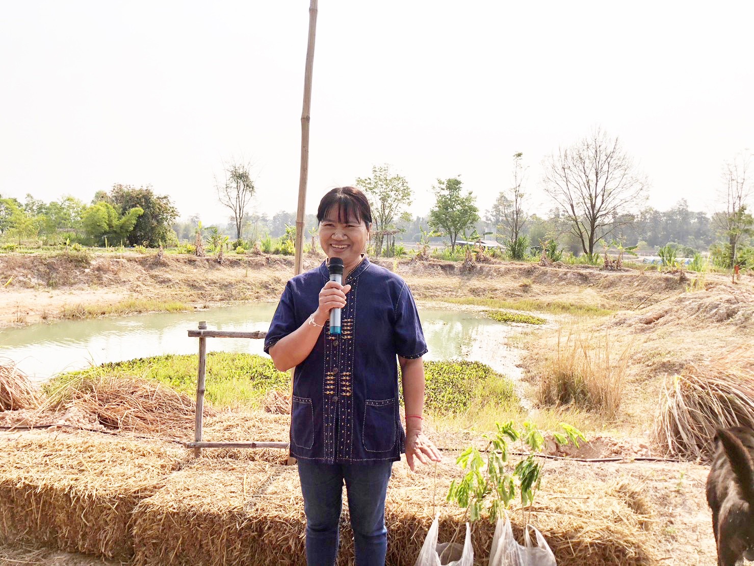 พช.มหาสารคาม ร่วมกับภาคีเครือข่ายโคกหนองนา จัดกิจกรรมเอามื้อสามัคคี ณ แปลงโคกหนองนา อำเภอแกดำ