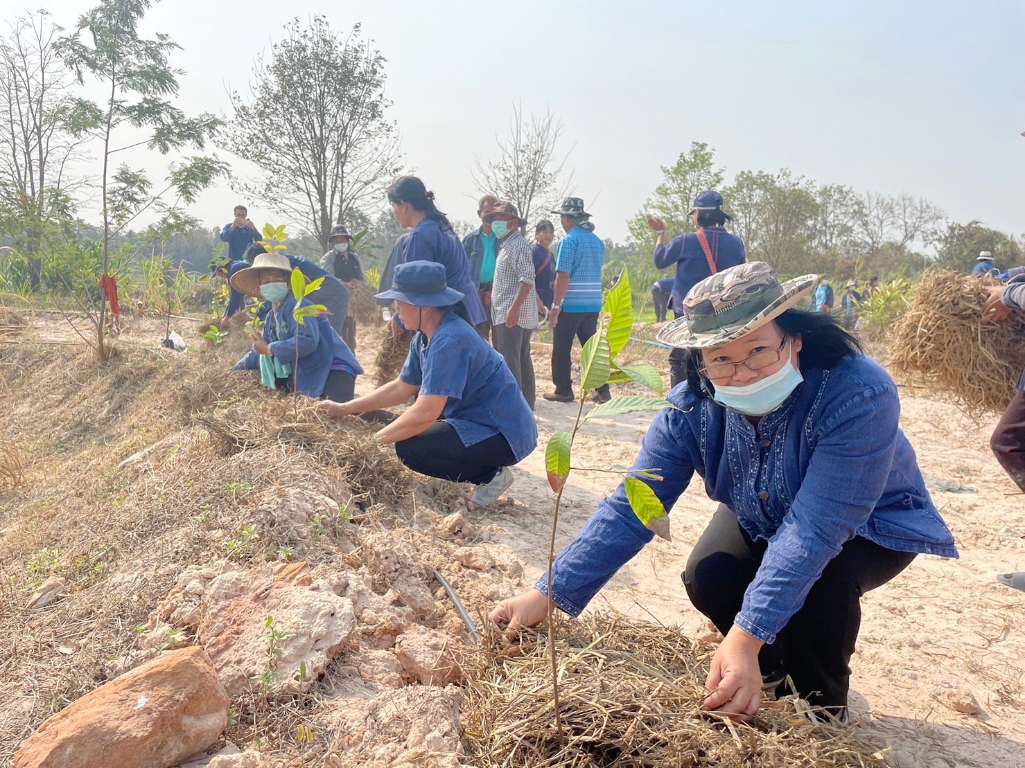 พช.มหาสารคาม ร่วมกับภาคีเครือข่ายโคกหนองนา จัดกิจกรรมเอามื้อสามัคคี ณ แปลงโคกหนองนา อำเภอแกดำ