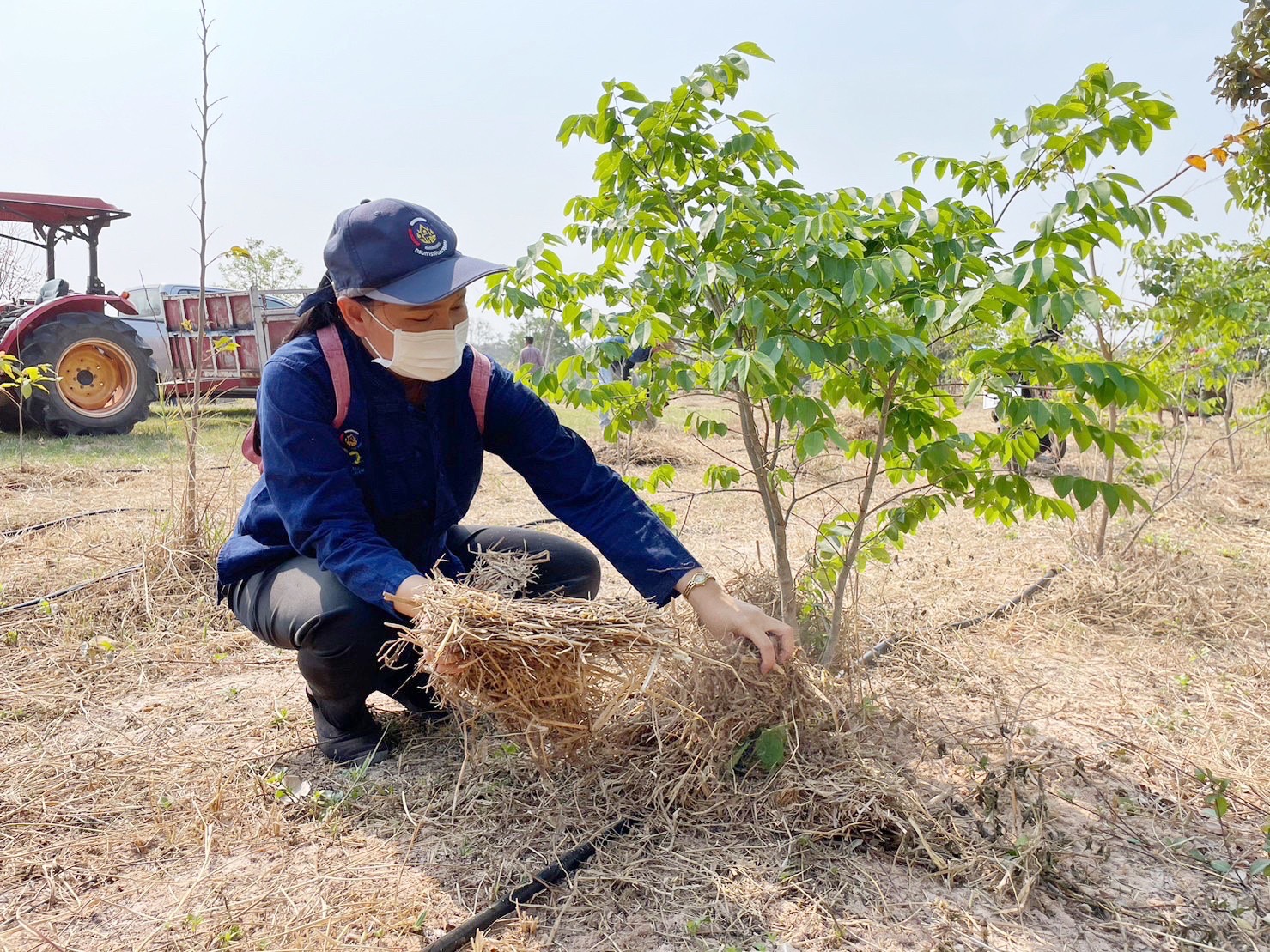 พช.มหาสารคาม ร่วมกับภาคีเครือข่ายโคกหนองนา จัดกิจกรรมเอามื้อสามัคคี ณ แปลงโคกหนองนา อำเภอแกดำ