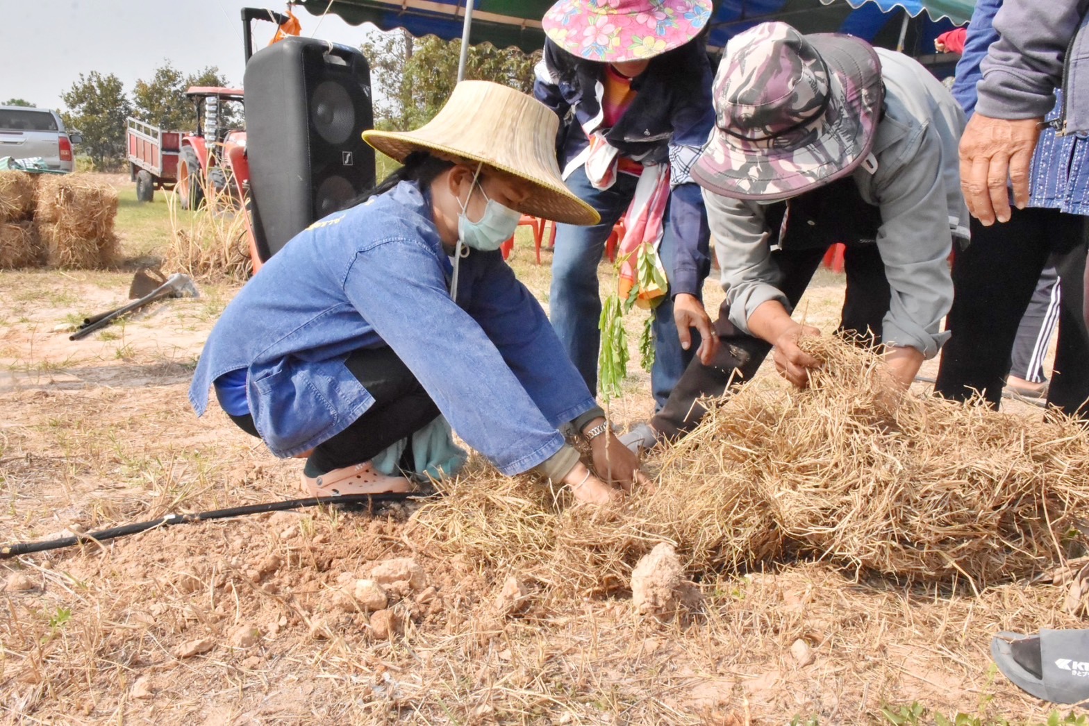 พช.มหาสารคาม ร่วมกับภาคีเครือข่ายโคกหนองนา จัดกิจกรรมเอามื้อสามัคคี ณ แปลงโคกหนองนา อำเภอแกดำ