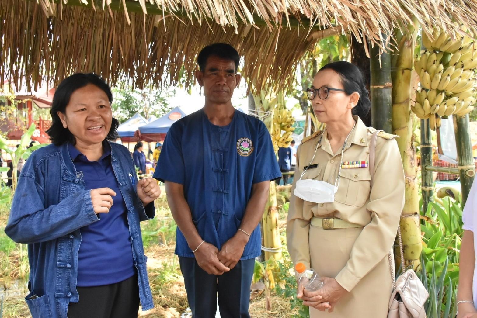 พลตรี กัลย์สรรค์ จันทรเสน ประจำสำนักพระราชวังพิเศษ ระดับ 10 ปฏิบัติหน้าที่รองผู้อำนวยการศูนย์อำนวยการใหญ่จิตอาสาพระราชทาน กำหนดจัดกิจกรรมพระราชทานในพื้นที่ ณ วัดใต้ดงใหญ่ ตำบลดงใหญ่ อำเภอวาปีปทุม จังหวัดมหาสารคาม : พช.มหาสารคาม ร่วมกับ เครือข่าย โคก หนอง นา และกลุ่มอาชีพ จัดแสดงนิทรรศการและจำหน่ายผลผลิต และ ผลิตภัณฑ์ชุมชน ในกิจกรรมพระราชทาน ด้วย