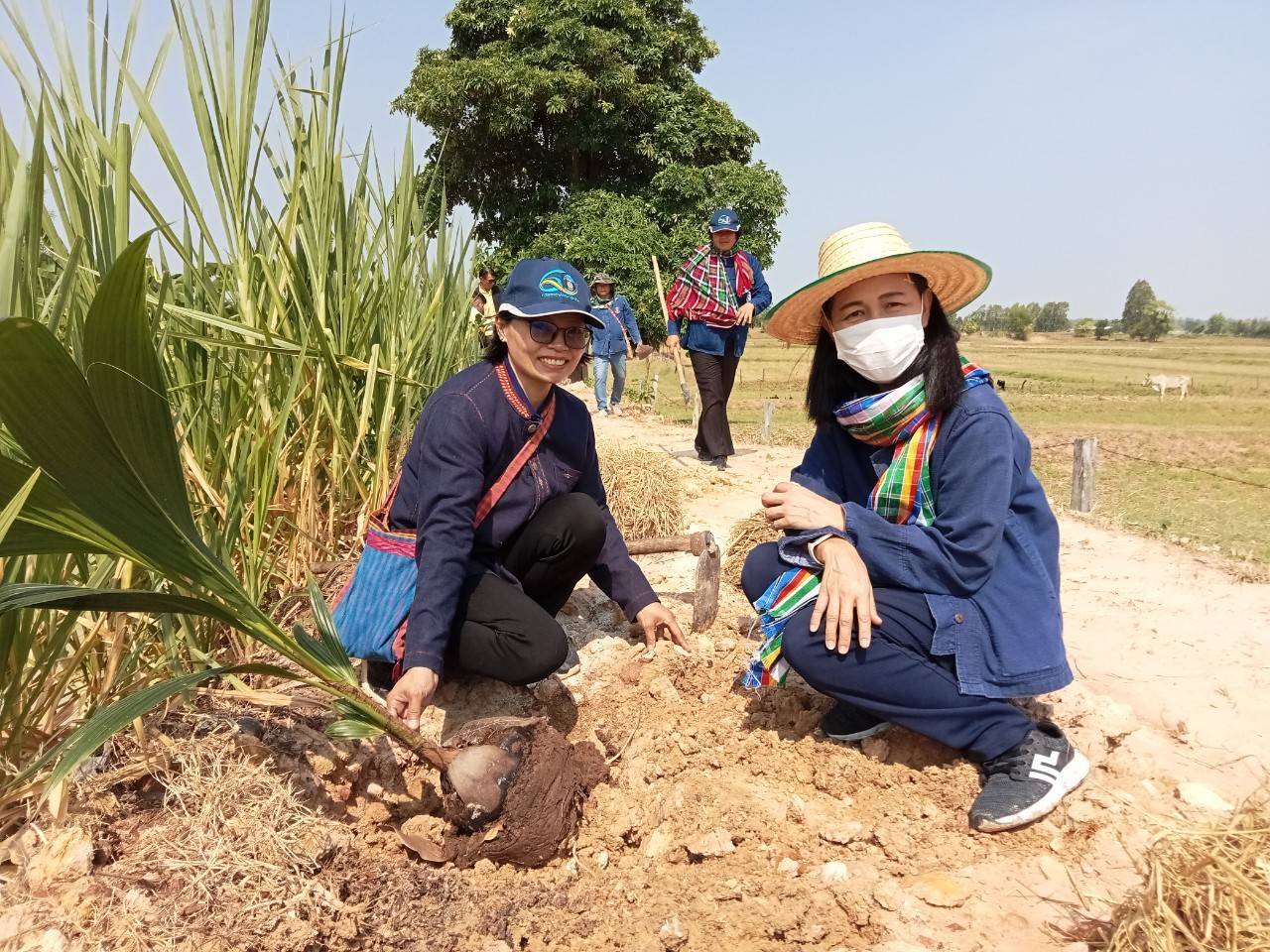 พช.มหาสารคาม ร่วมกับภาคีเครือข่ายโคกหนองนา จัดกิจกรรมเอามื้อสามัคคี ณ แปลงโคกหนองนา อำเภอเมืองมหาสารคาม