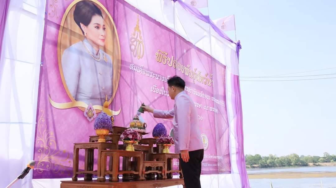 ?พช.มหาสารคาม ร่วมกิจกรรม ปล่อยพันธุ์สัตว์น้ำ เนื่องในโอกาสวันเฉลิมพระชนมพรรษาสมเด็จพระนางเจ้าฯ พระบรมราชินี 3 มิถุนายน 2566 ?