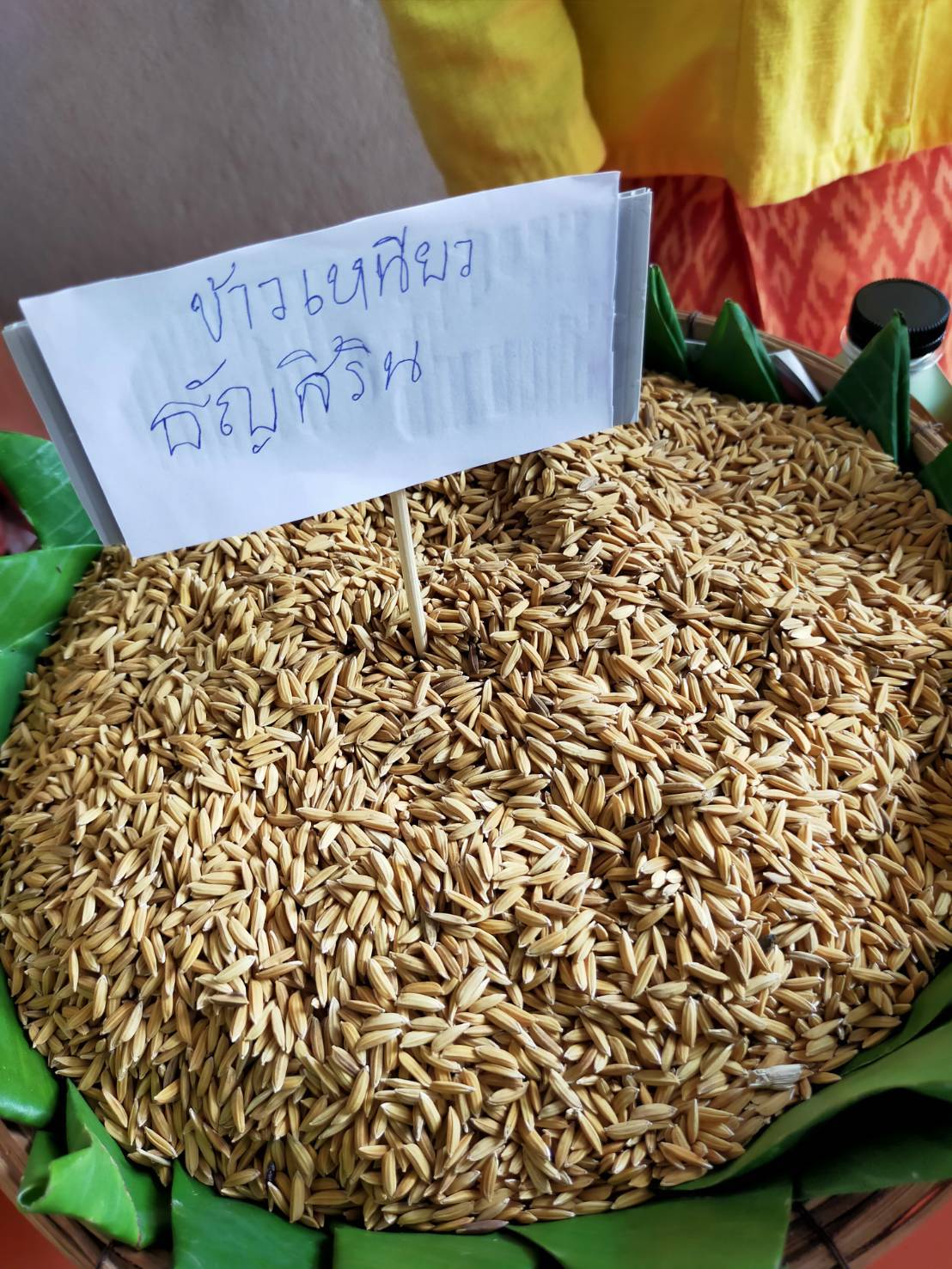 ?พช.มหาสารคาม นำกลุ่มผลิต ผู้ประกอบการ ศึกษาดูงานศึกษาดูงาน ตามโครงการพัฒนากลไกลและโครงสร้างดูดซับมูลค่าทางเศรษฐกิจและการกระจายรายได้กลับสู่ท้องถิ่น เสริมสร้างรายได้ด้วยเครือข่ายเกษตรปลอดภัย ?