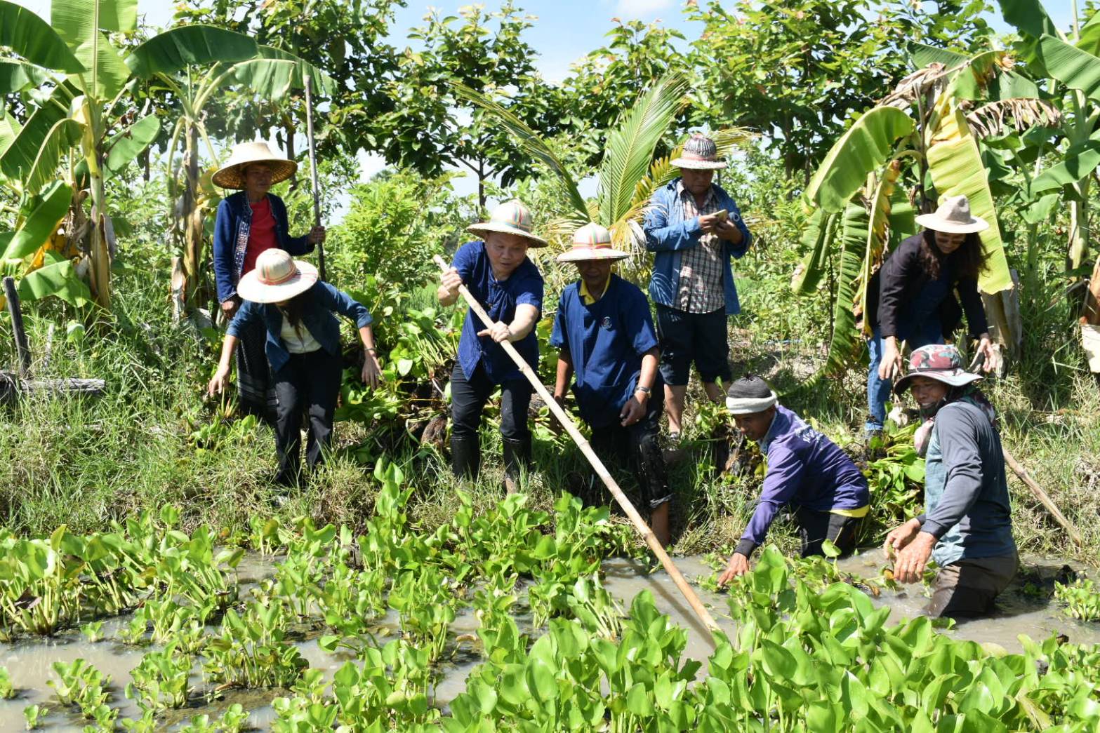 ?รองผู้ว่าราชการจังหวัดมหาสารคาม ลงพื้นที่ “เอามื้อสามัคคี” ตามโครงการพัฒนาพื้นที่ต้นแบบการพัฒนาคุณภาพชีวิตตามหลักทฤษฎีใหม่ ประยุกต์สู่ โคก หนอง นา โมเดล?