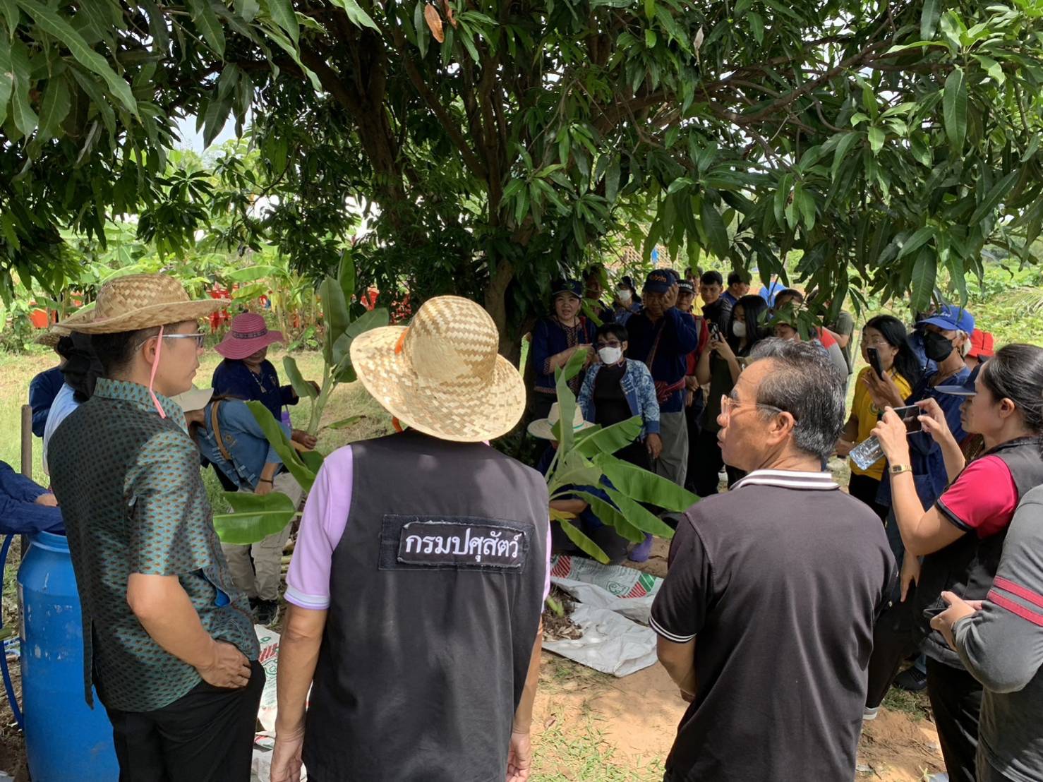 ?พช.มหาสารคาม ร่วมกับภาคีเครือข่ายโคกหนองนา อำเภอบรบือ จัดกิจกรรมเอามื้อสามัคคี ณ แปลง โคก หนอง นา อำเภอบรบือ จังหวัดมหาสารคาม?