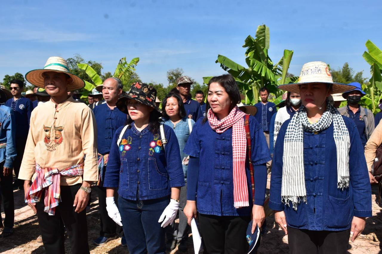 พช.มหาสารคาม ผนึกกำลังร่วมกับภาคีเครือข่ายโคกหนองนา อำเภอพยัคฆภูมิพิสัย จัดกิจกรรม หิ้วปิ่นโต ห่อข้าว ไปเอามื้อ เอาแฮง แปลงโคก หนอง นา อำเภอพยัคฆภูมิพิสัย จังหวัดมหาสารคาม