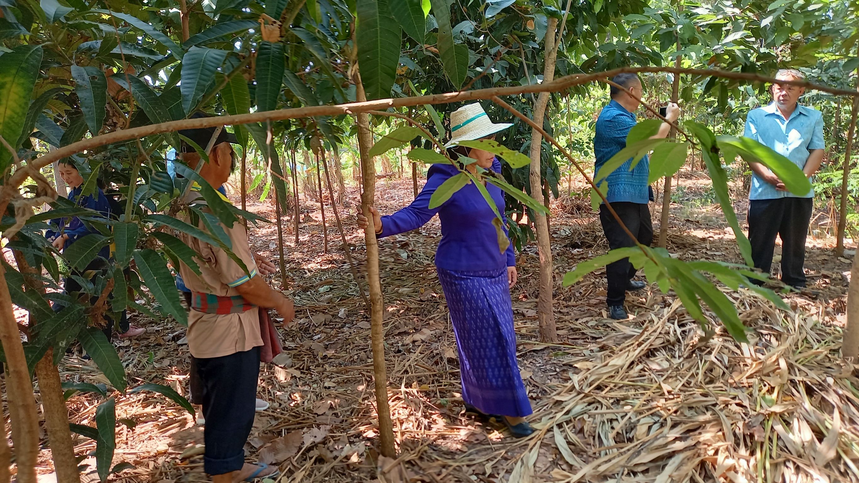 พช.มหาสารคาม ต้อนรับ นางนวลจันทร์ ศรีมงคล ผู้ตรวจราชการกรมการพัฒนาชุมชน เขตตรวจราชการที่ 12 ในการลงพื้นที่ตรวจติดตามและให้กำลังใจศูนย์เรียนรู้ชุมชนต้นแบบการพัฒนาคุณภาพชีวิตตามหลักทฤษฎีใหม่ ประยุกต์สู่โคก หนอง นา โมเดล ในพื้นที่อำเภอนาเชือก จังหวัดมหาสารคาม