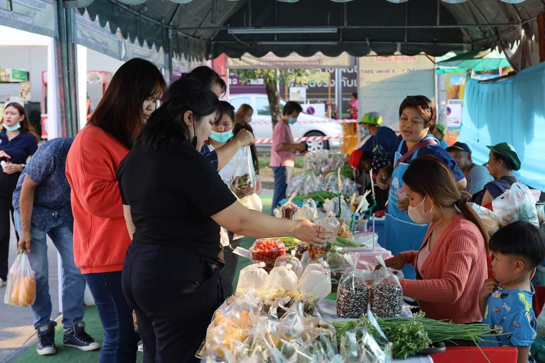 พช.มหาสารคาม ร่วมงานเปิด“ตลาดสีเขียว เกษตรอินทรีย์ ของดีเมืองมหาสารคาม” ส่งเสริมตลาดสินค้าอินทรีย์ สินค้าปลอดภัย