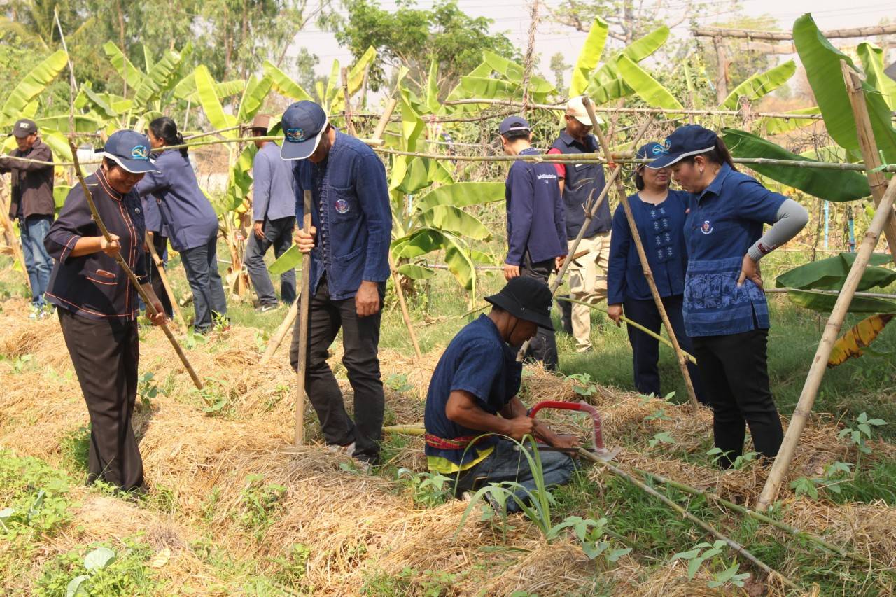 พช.มหาสารคาม ผนึกกำลังร่วมกับภาคีเครือข่ายโคกหนองนา จัดกิจกรรมเอามื้อสามัคคี “หิ้วปิ่นโต ห่อข้าว ไปเอามื้อ เอาแฮง แปลง โคก หนอง นา” อำเภอกุดรัง จังหวัดมหาสารคาม