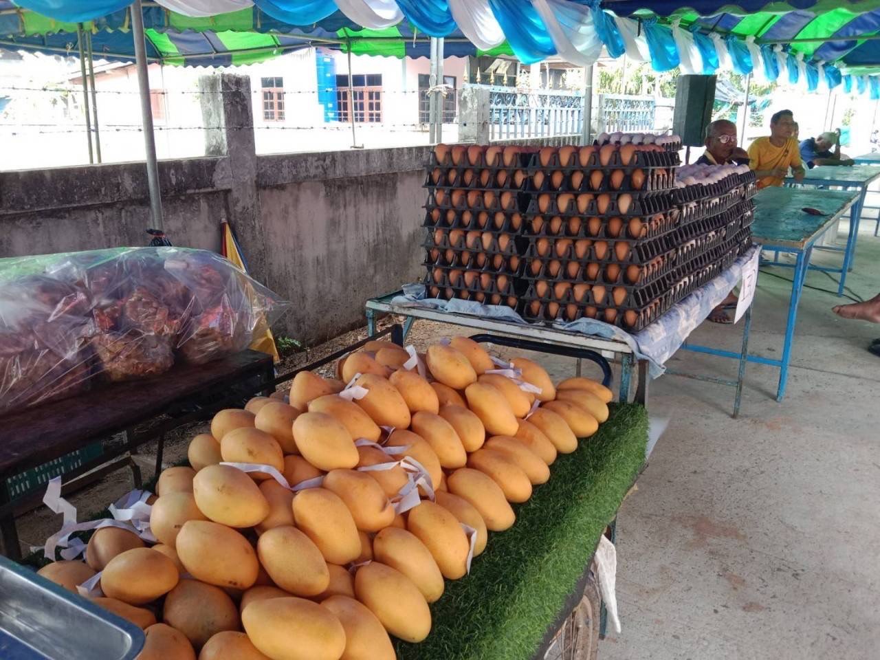 พช.มหาสารคาม ร่วมตรวจประเมินผลงาน และตัดสินโครงการคัดเลือกหมู่บ้านเข้มแข็งตามแนวทาง แผ่นดินธรรมแผ่นดินทอง “หมู่บ้านอยู่เย็น เป็นสุข” ประจำปีงบประมาณ พ.ศ. 2567