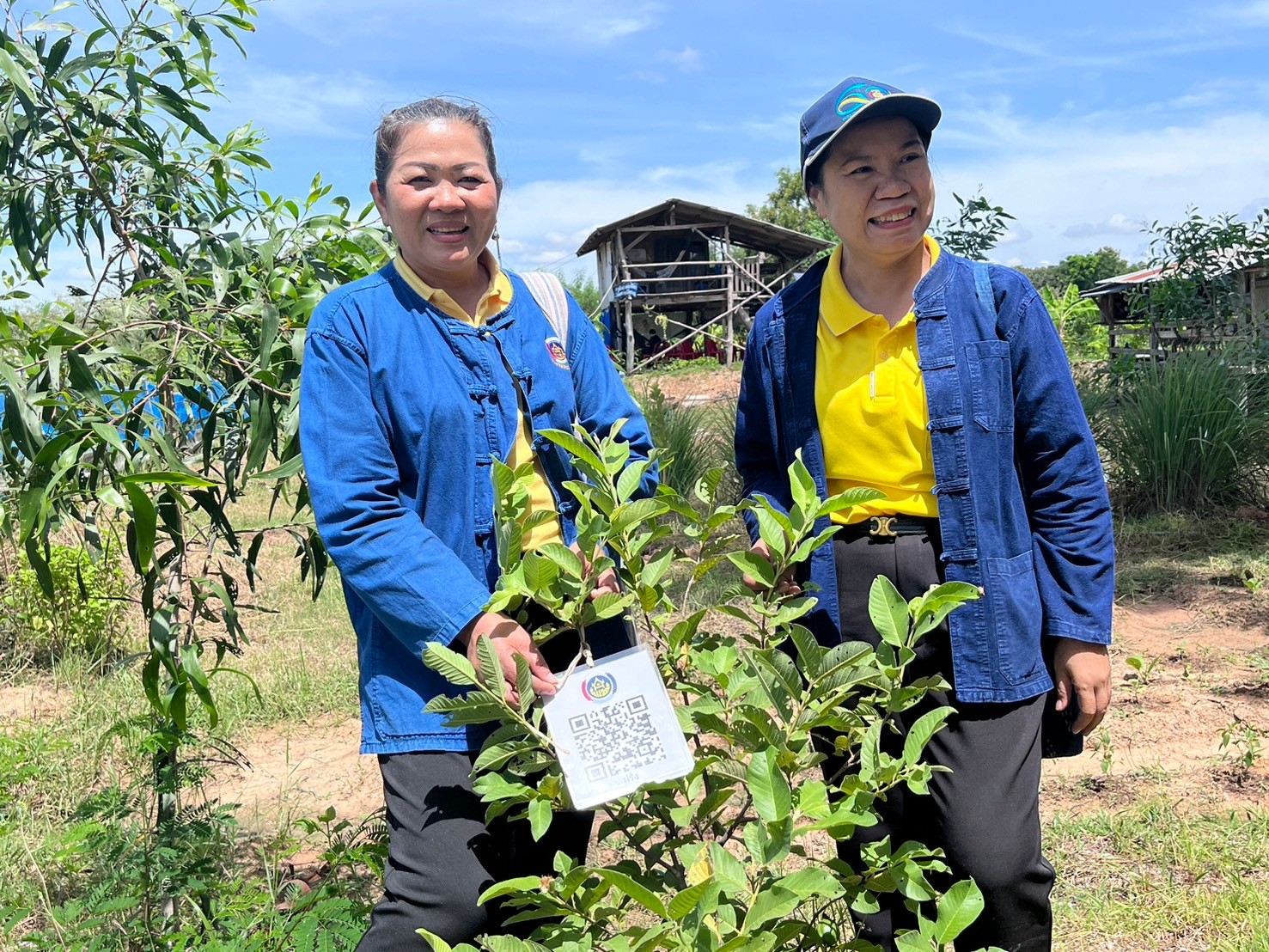พช.มหาสารคาม ดำเนินโครงการส่งเสริมและสนับสนุนกิจกรรมอนุรักษ์พันธุกรรมพืช ตามโครงการอนุรักษ์พันธุกรรมพืช อันเนื่องมาจากพระราชดำริ สมเด็จพระเทพรัตนราชสุดาฯ สยามบรมราชกุมารี