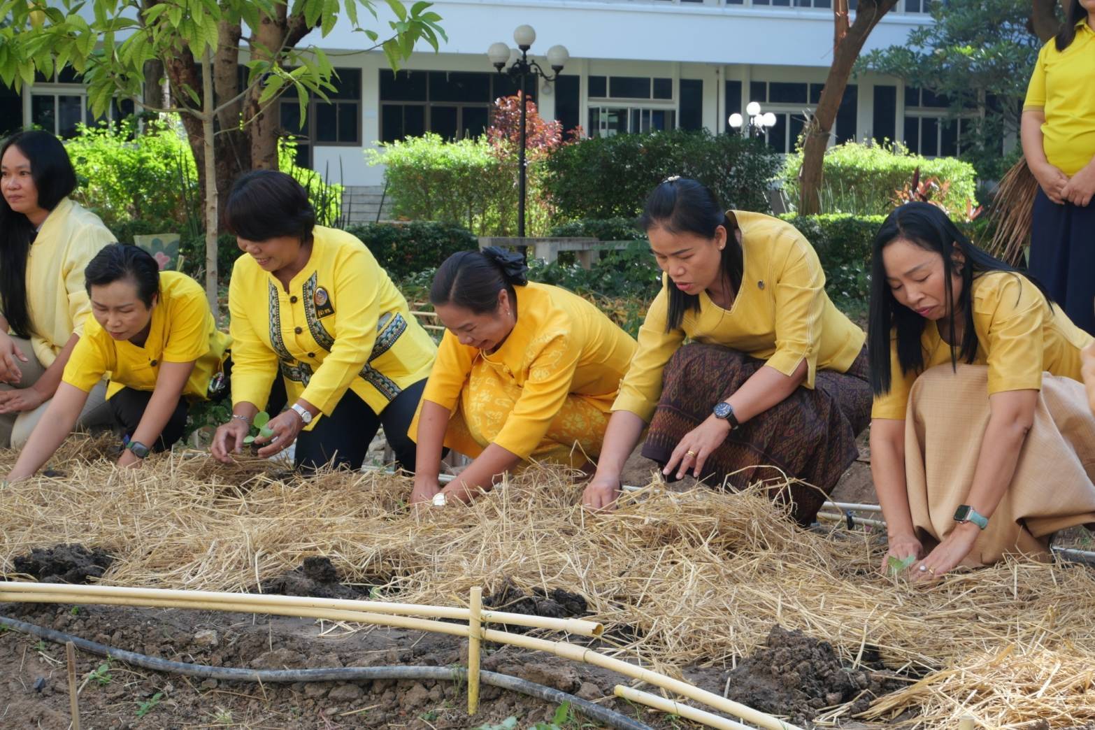 💠พช .มหาสารคาม จัดกิจกรรม Kick off “ผู้นำต้องทำก่อน” การน้อมนำแนวพระราชดำริของสมเด็จพระกนิษฐาธิราชเจ้า กรมสมเด็จพระเทพรัตนราชสุดาฯ สยามบรมราชกุมารี สู่ปฏิบัติการปลูกผักสวนครัว เพื่อสร้างความมั่นคงทางอาหาร💠