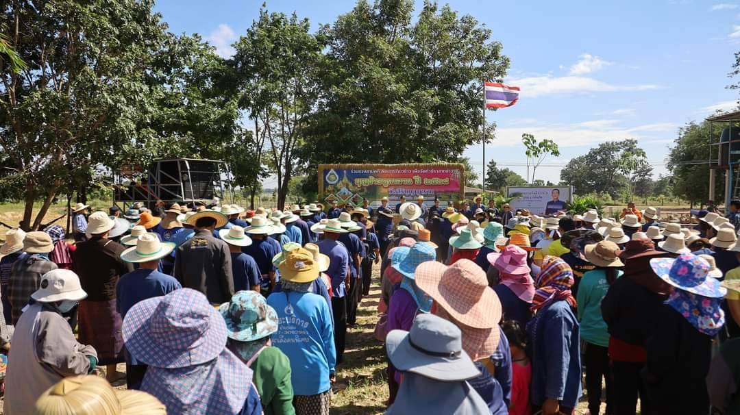 💠พช.มหาสารคาม ร่วมกิจกรรมประเพณีลงแขกเกี่ยวข้าวสืบสานประเพณีพื้นบ้าน เพื่อจัดทำปราสาทข้าวบุญคูณลาน ปี 2568💠