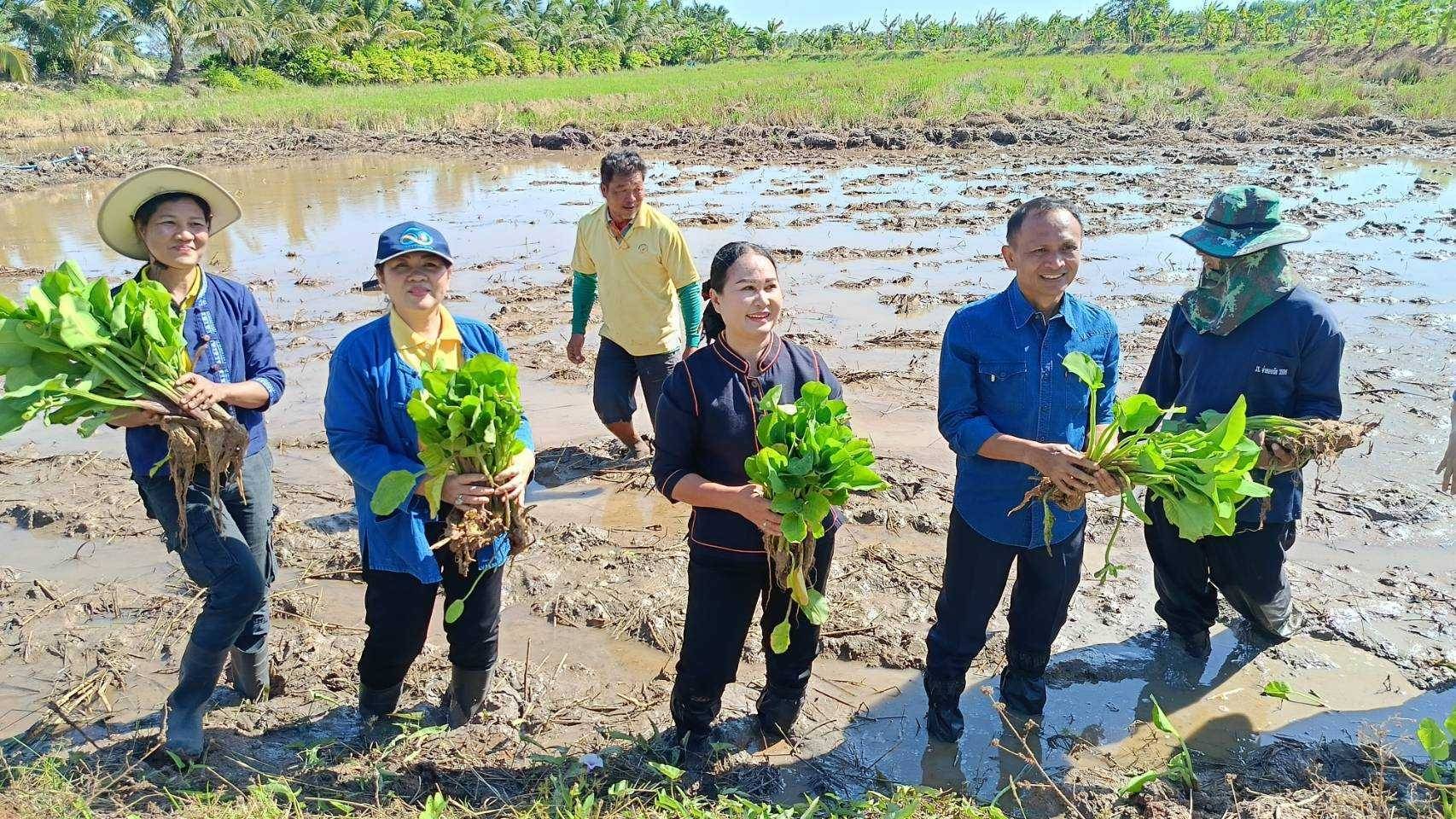 🔹พช.มหาสารคาม ผนึกกำลังร่วมกับภาคีเครือข่ายโคกหนองนา อำเภอพยัคฆภูมิพิสัย จัดกิจกรรม เอามื้อสามัคคี แปลงโคก หนอง นา เรียนรู้ทักษะอาชีพการพึ่งพาตนเอง ศูนย์ผู้นำจิตอาสาพัฒนาชุมชน เนื่องในโอกาสวันดินโลก 5 ธันวาคม 2567 อำเภอพยัคฆภูมิพิสัย จังหวัดมหาสารคาม🔹