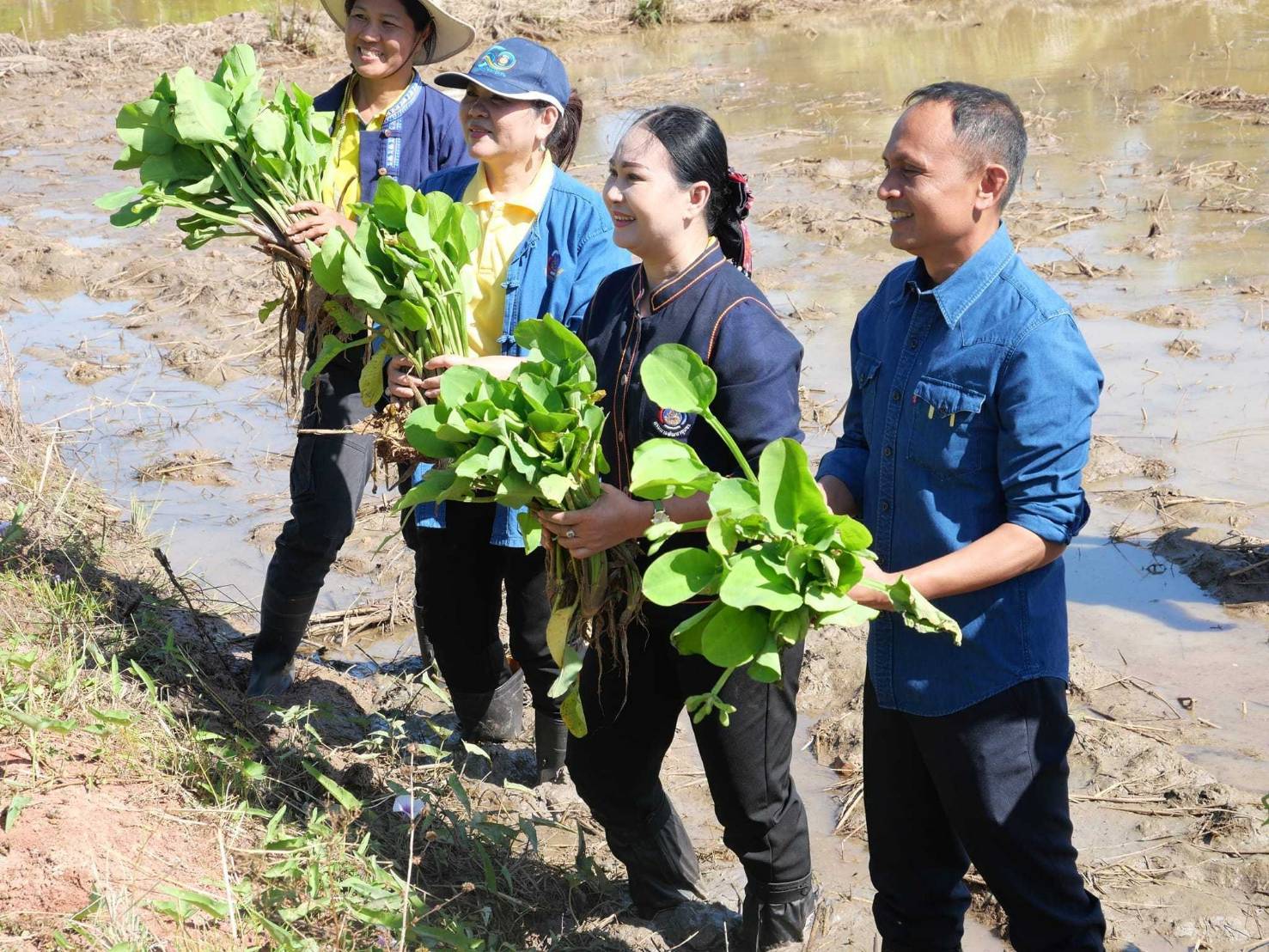 🔹พช.มหาสารคาม ผนึกกำลังร่วมกับภาคีเครือข่ายโคกหนองนา อำเภอพยัคฆภูมิพิสัย จัดกิจกรรม เอามื้อสามัคคี แปลงโคก หนอง นา เรียนรู้ทักษะอาชีพการพึ่งพาตนเอง ศูนย์ผู้นำจิตอาสาพัฒนาชุมชน เนื่องในโอกาสวันดินโลก 5 ธันวาคม 2567 อำเภอพยัคฆภูมิพิสัย จังหวัดมหาสารคาม🔹