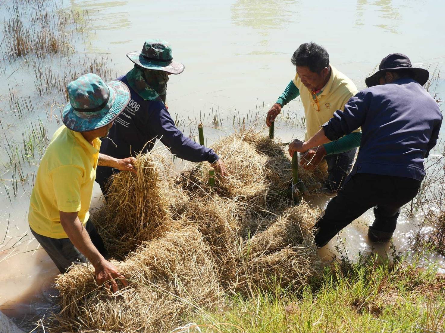🔹พช.มหาสารคาม ผนึกกำลังร่วมกับภาคีเครือข่ายโคกหนองนา อำเภอพยัคฆภูมิพิสัย จัดกิจกรรม เอามื้อสามัคคี แปลงโคก หนอง นา เรียนรู้ทักษะอาชีพการพึ่งพาตนเอง ศูนย์ผู้นำจิตอาสาพัฒนาชุมชน เนื่องในโอกาสวันดินโลก 5 ธันวาคม 2567 อำเภอพยัคฆภูมิพิสัย จังหวัดมหาสารคาม🔹