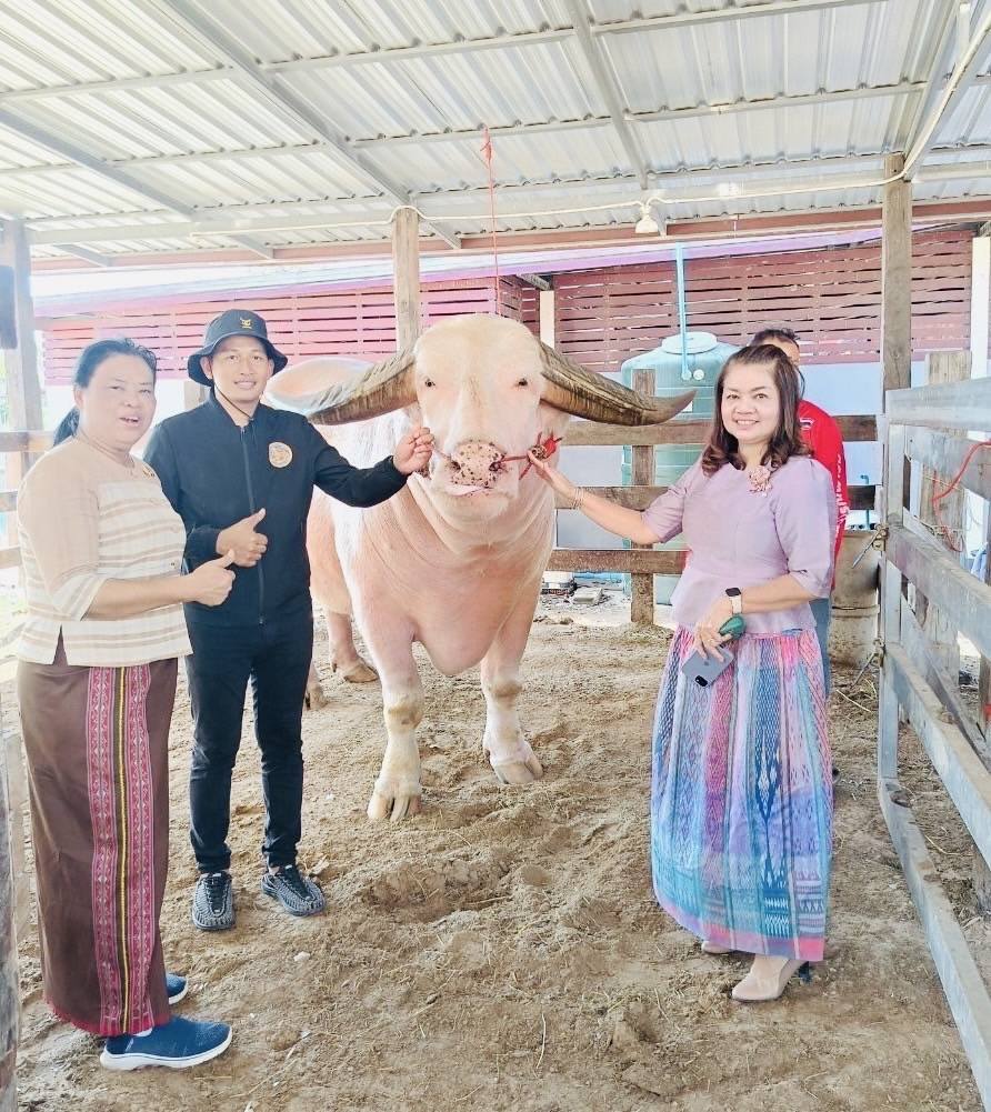 พช.มหาสารคาม : รับการตรวจราชการ ผู้ตรวจราชการกรมการพัฒนาชุมชน (นางอรุณรัตน์ ชิงชนะ) ลงพื้นที่จังหวัดมหาสารคาม ติดตามผลการปฏิบัติราชการตามนโยบายของรัฐบาล ภารกิจกระทรวงมหาดไทย และกรมการพัฒนาชุมชน ประจำเดือนกุมภาพันธ์ 2568