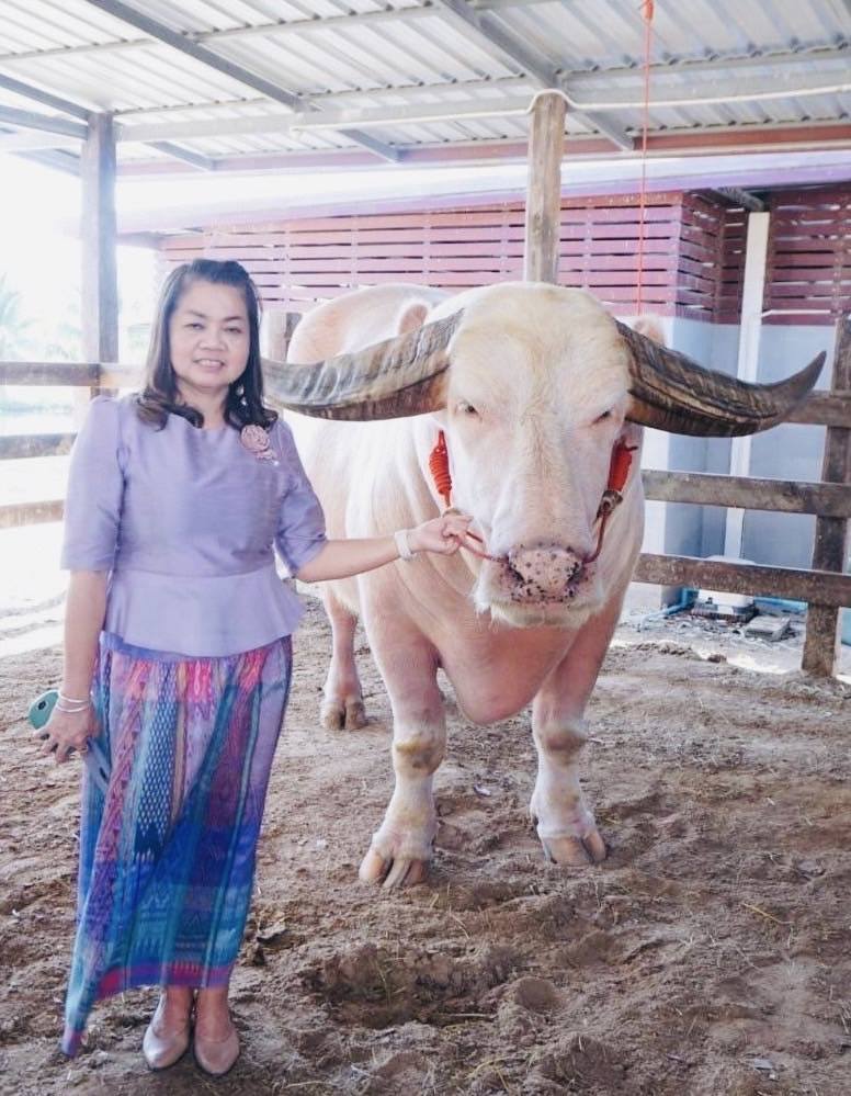 พช.มหาสารคาม : รับการตรวจราชการ ผู้ตรวจราชการกรมการพัฒนาชุมชน (นางอรุณรัตน์ ชิงชนะ) ลงพื้นที่จังหวัดมหาสารคาม ติดตามผลการปฏิบัติราชการตามนโยบายของรัฐบาล ภารกิจกระทรวงมหาดไทย และกรมการพัฒนาชุมชน ประจำเดือนกุมภาพันธ์ 2568