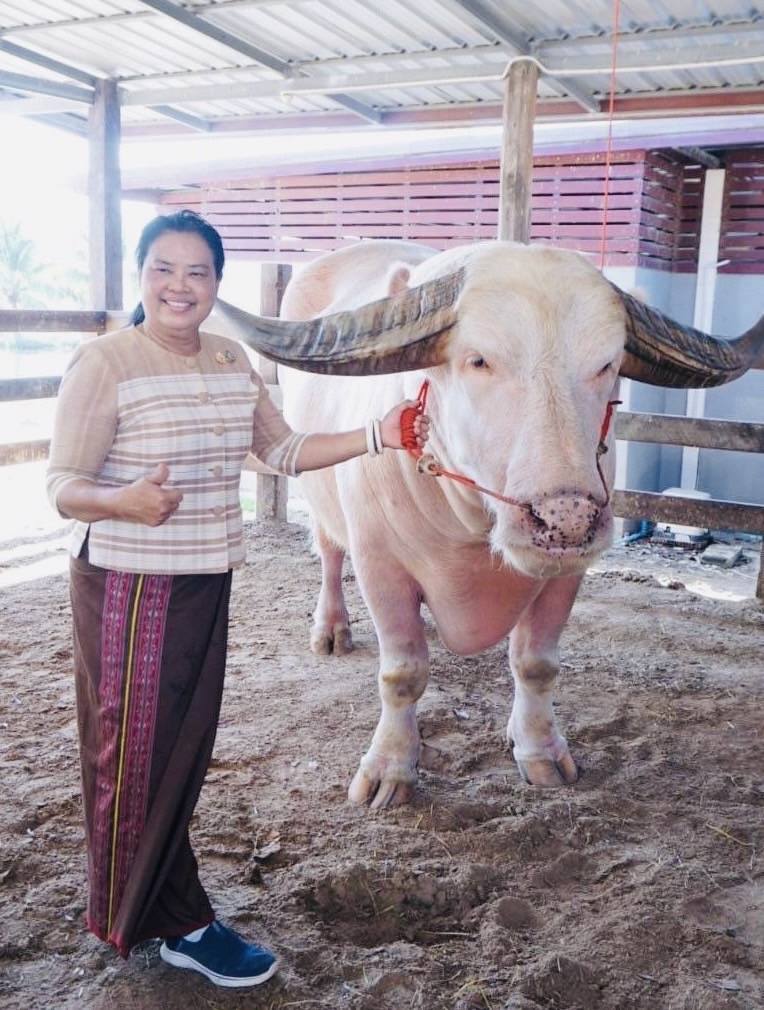 พช.มหาสารคาม : รับการตรวจราชการ ผู้ตรวจราชการกรมการพัฒนาชุมชน (นางอรุณรัตน์ ชิงชนะ) ลงพื้นที่จังหวัดมหาสารคาม ติดตามผลการปฏิบัติราชการตามนโยบายของรัฐบาล ภารกิจกระทรวงมหาดไทย และกรมการพัฒนาชุมชน ประจำเดือนกุมภาพันธ์ 2568