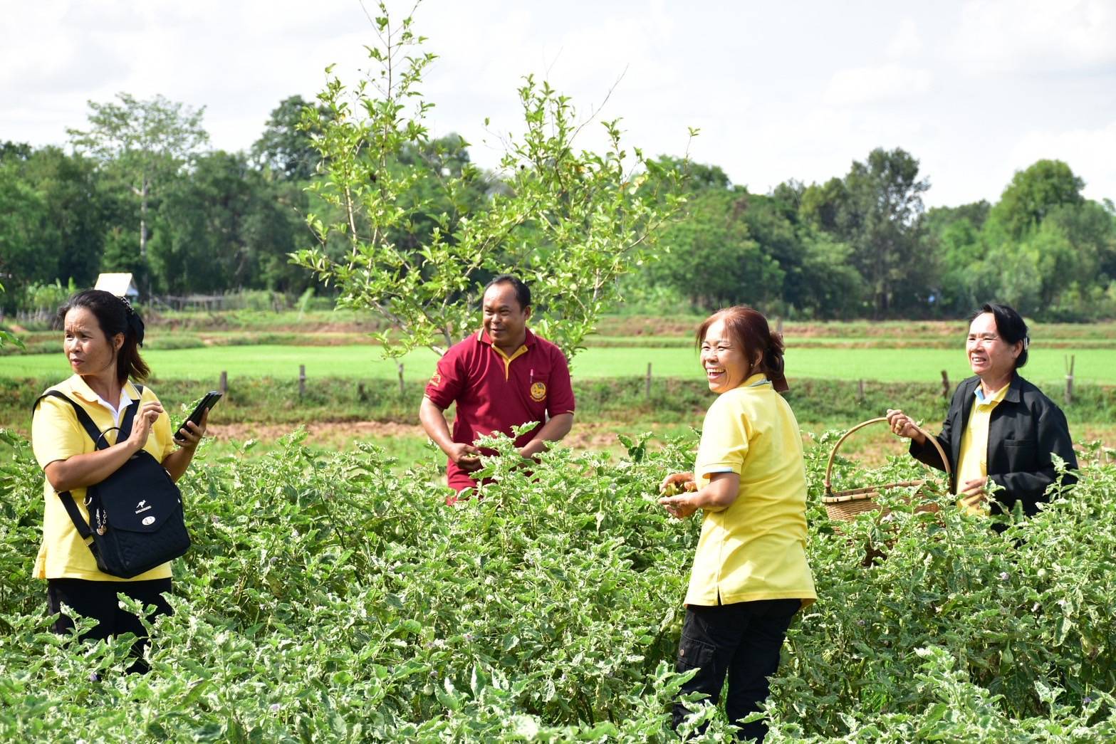 พช.มหาสารคาม : รับการสนับสนุนการดำเนินงานสารสนเทศตำบลต้นแบบเพื่อการพัฒนาคุณภาพชีวิต ประจำปี 2568 จาก คณะสนับสนุนฯ กรมการพัฒนาชุมชน