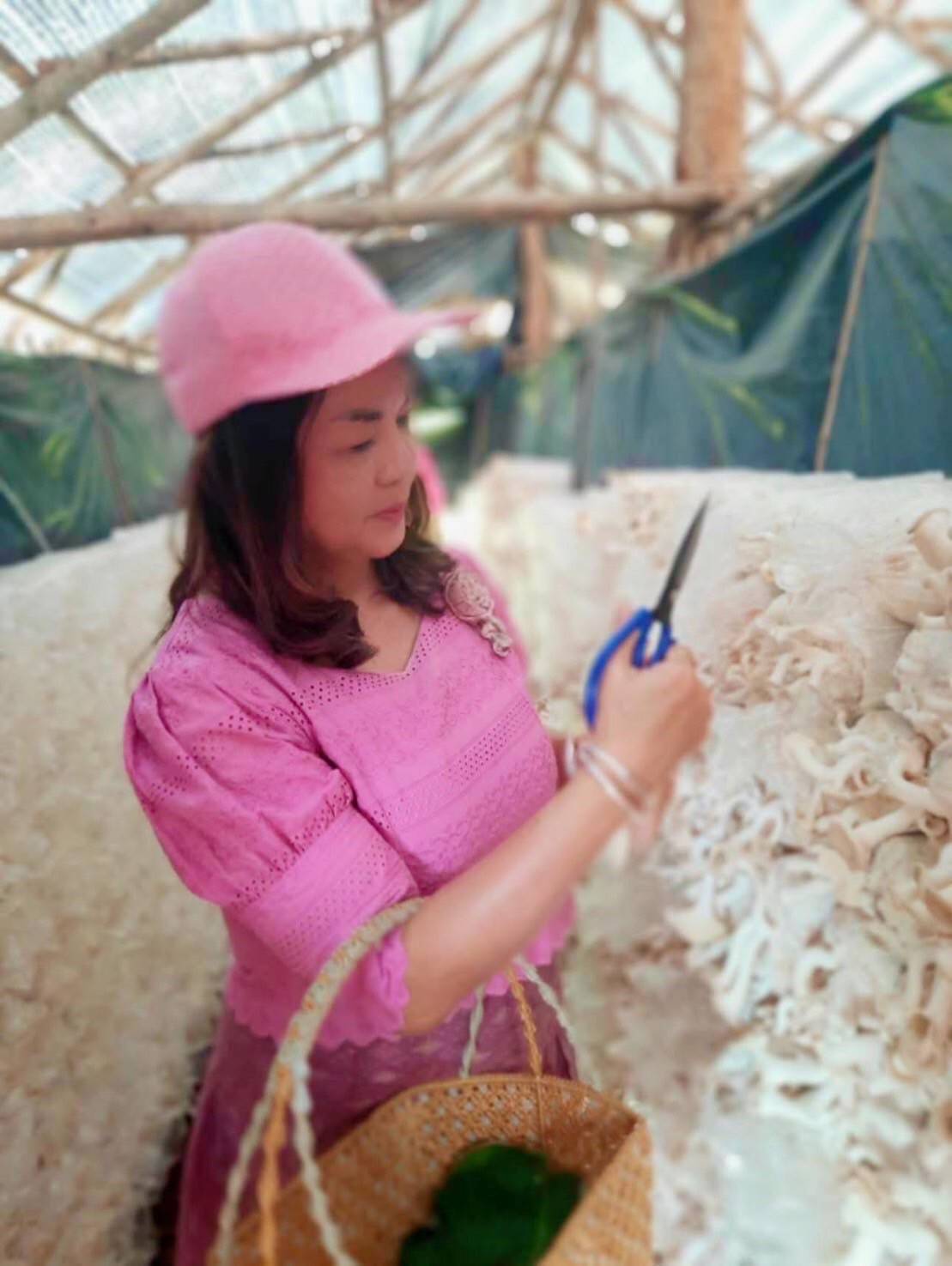 พช.มหาสารคาม : เดินหน้าคัดเลือกคนกองทุนพัฒนาบทบาทสตรีดีเด่นระดับจังหวัด ตามโครงการเชิดชูเกียรติคนกองทุนพัฒนาบทบาทสตรี ประจำปี 2568 วันที่ 3