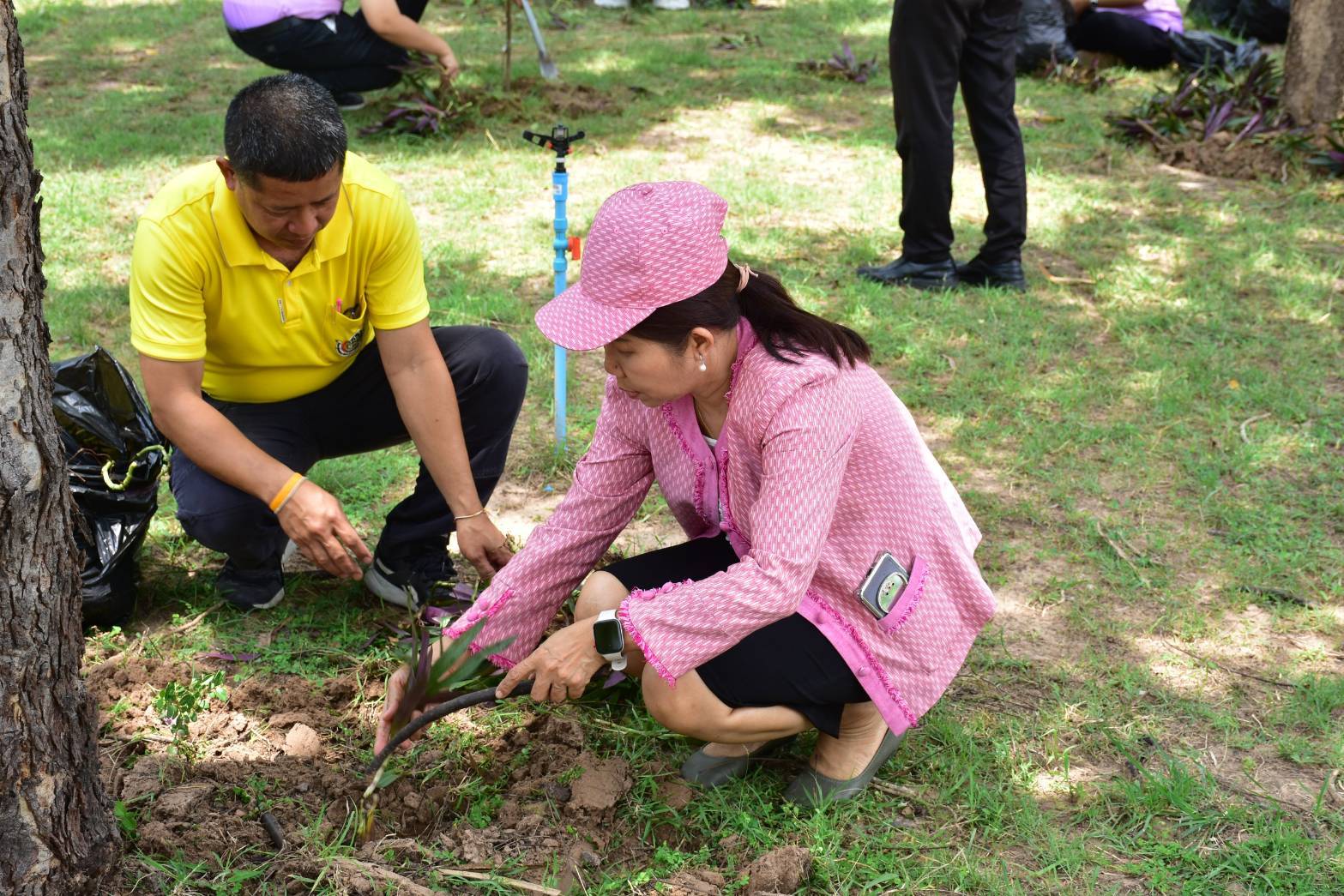 พช.มหาสารคาม : ร่วมกิจกรรมปลูกพืชคลุมดิน ตามโครงการ 160ปี ชาวมหาสารคามร่วมใจปลูกต้นไม้ 160,000 ต้น เพื่อเฉลิมฉลองในวาระจังหวัดมหาสารคามก่อตั้งครบรอบ 160 ปี