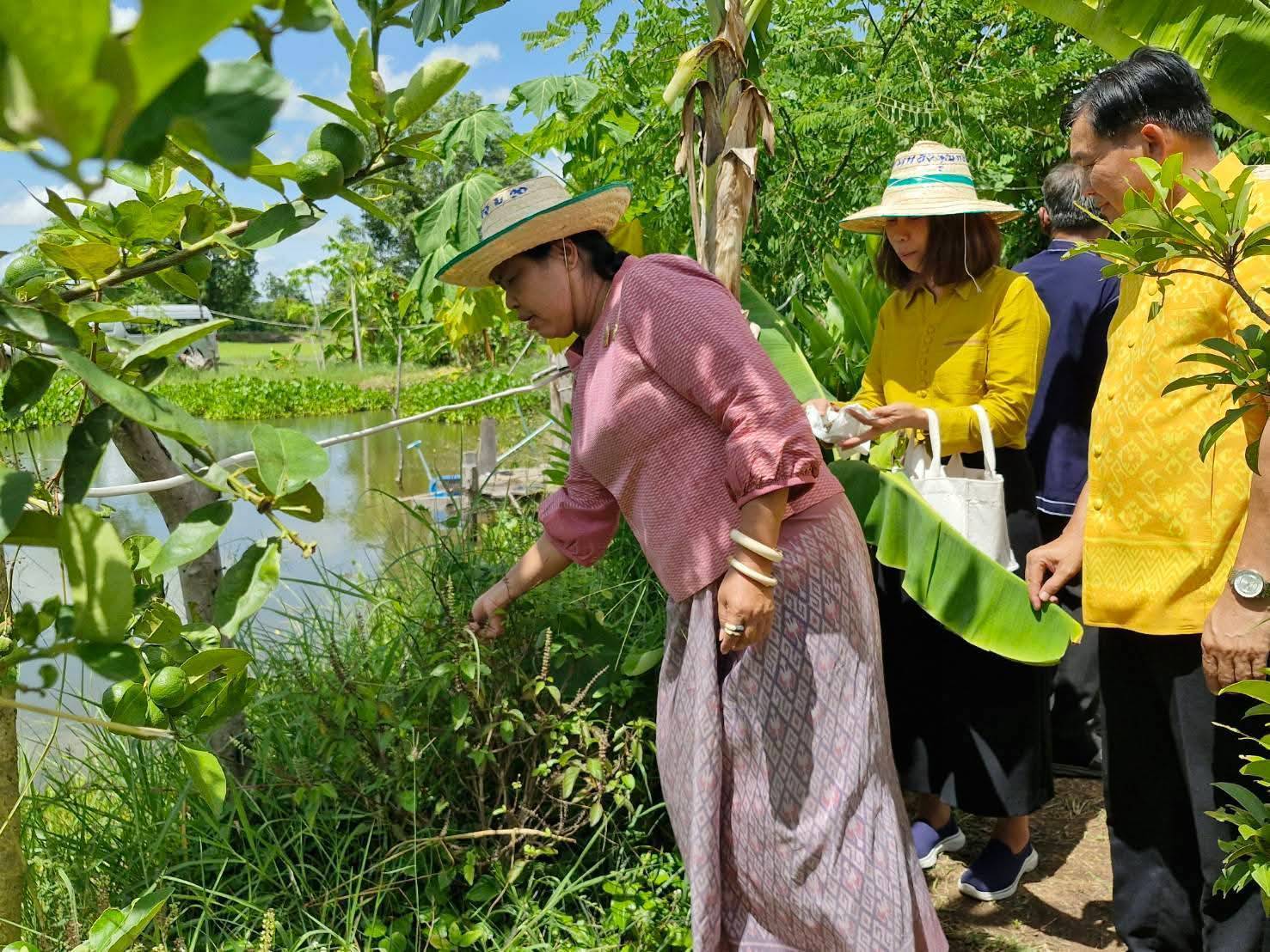 พช.มหาสารคาม : รับการตรวจราชการ ผู้ตรวจราชการกรมการพัฒนาชุมชน (นางอรุณรัตน์ ชิงชนะ) ลงพื้นที่ อำเภอนาดูน จังหวัดมหาสารคาม ติดตามผลการปฏิบัติราชการตามนโยบายของรัฐบาล ภารกิจกระทรวงมหาดไทย และกรมการพัฒนาชุมชน ประจำเดือนกรกฏาคม 2568